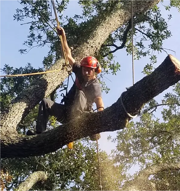 JJS Family Tree Service team in Columbus OH